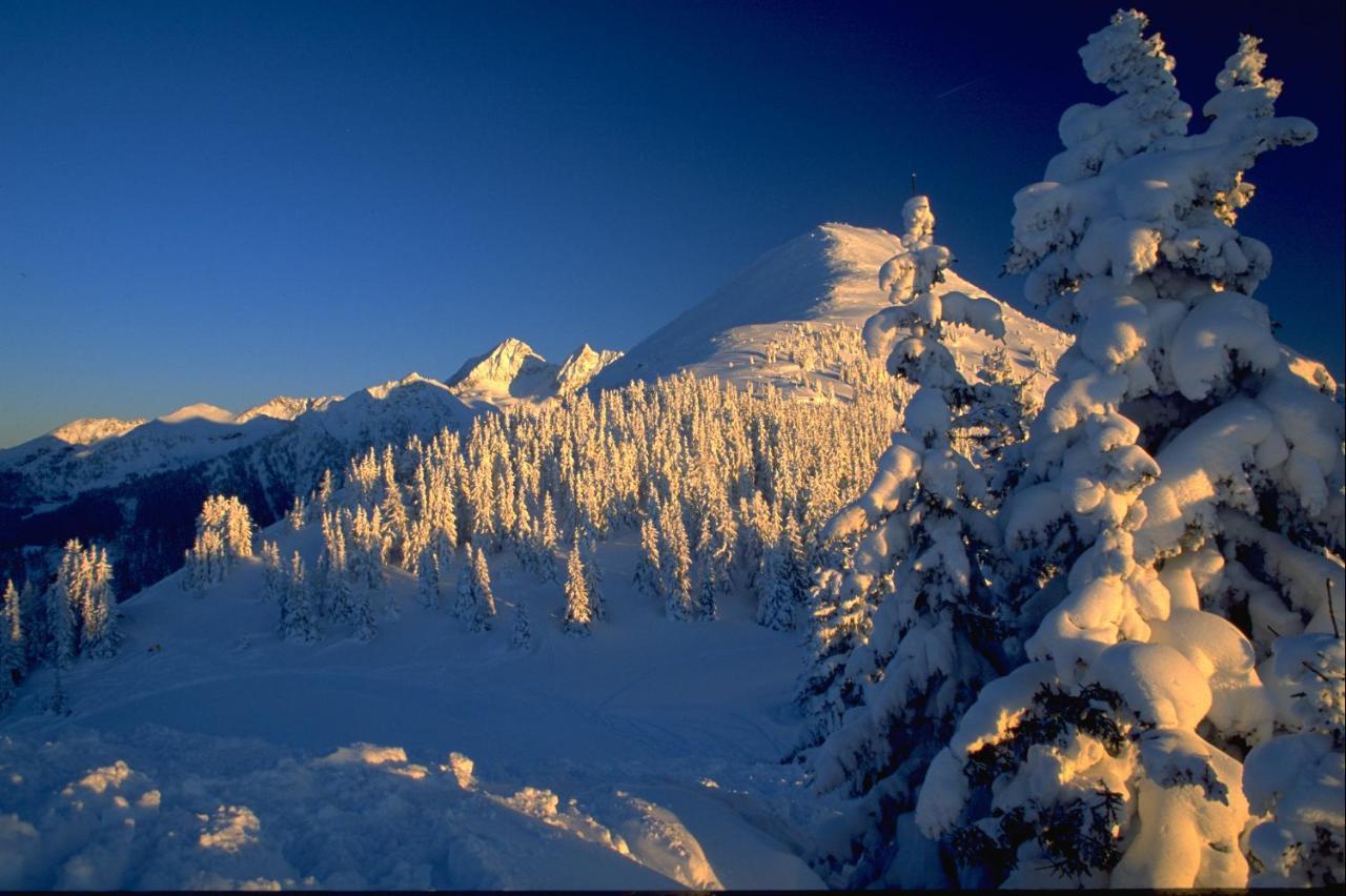 Cityhouse Apartments Schladming Esterno foto